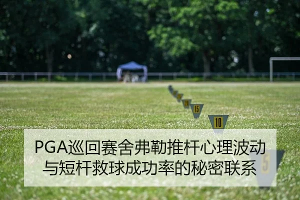 PGA巡回赛舍弗勒推杆心理波动与短杆救球成功率的秘密联系